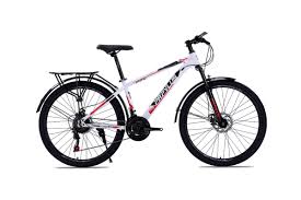 Xe Đạp Đua Hinh MTB RAPTOR Marin 1